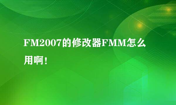 FM2007的修改器FMM怎么用啊！