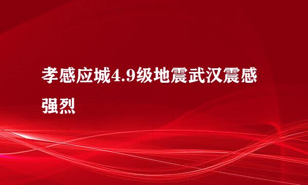 孝感应城4.9级地震武汉震感强烈