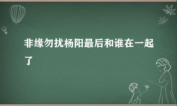 非缘勿扰杨阳最后和谁在一起了