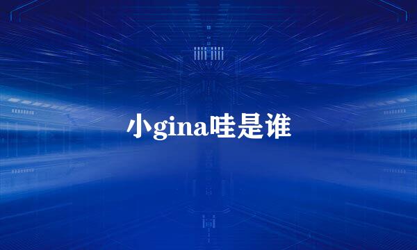 小gina哇是谁