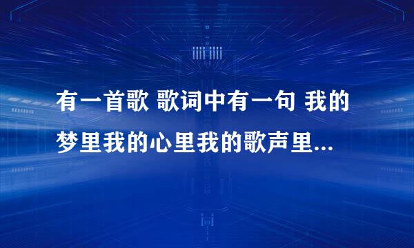 有一首歌 歌词中有一句 我的梦里我的心里我的歌声里、 是什么歌呢~