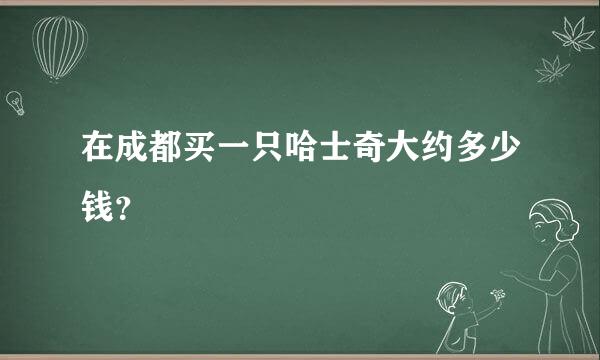 在成都买一只哈士奇大约多少钱？