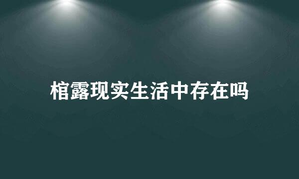 棺露现实生活中存在吗