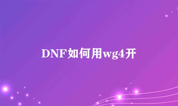 DNF如何用wg4开