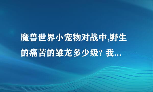 魔兽世界小宠物对战中,野生的痛苦的雏龙多少级? 我好等级适合的时候去捉