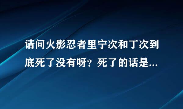 请问火影忍者里宁次和丁次到底死了没有呀？死了的话是在哪集？