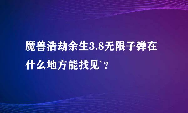 魔兽浩劫余生3.8无限子弹在什么地方能找见`？