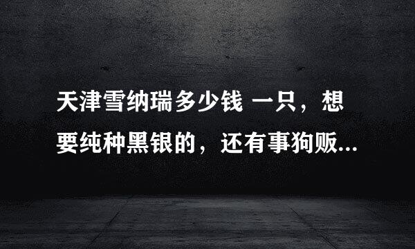 天津雪纳瑞多少钱 一只，想要纯种黑银的，还有事狗贩子抱窝的是什么价？