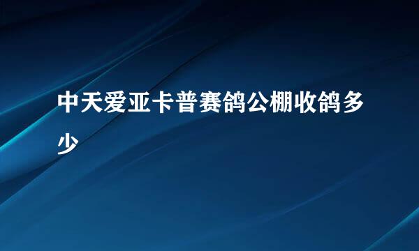 中天爱亚卡普赛鸽公棚收鸽多少