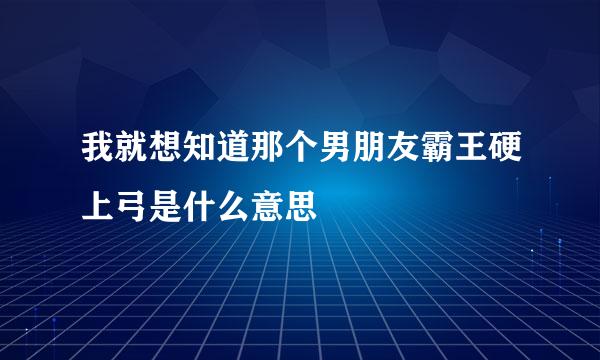 我就想知道那个男朋友霸王硬上弓是什么意思