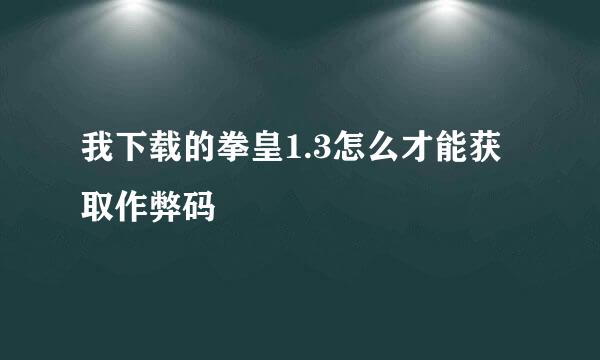 我下载的拳皇1.3怎么才能获取作弊码