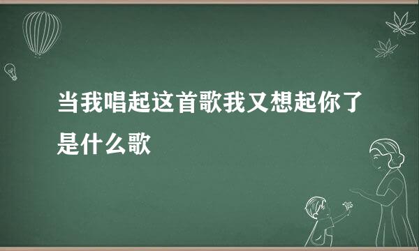 当我唱起这首歌我又想起你了是什么歌