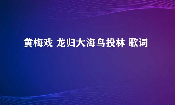 黄梅戏 龙归大海鸟投林 歌词