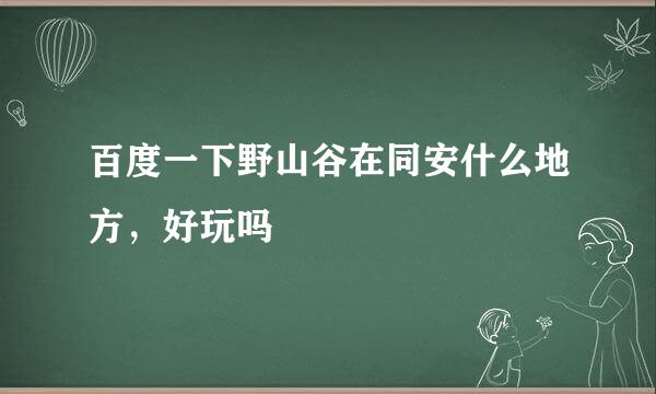 百度一下野山谷在同安什么地方，好玩吗