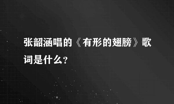 张韶涵唱的《有形的翅膀》歌词是什么？