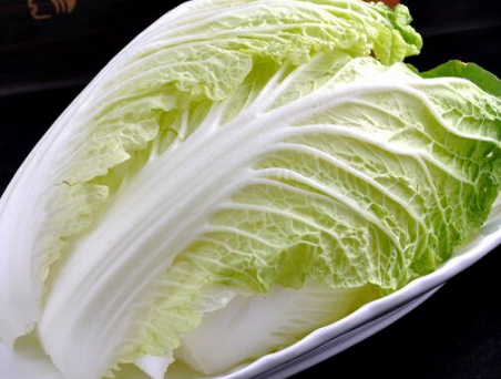 英语的白菜为什么叫china cabbage 呢