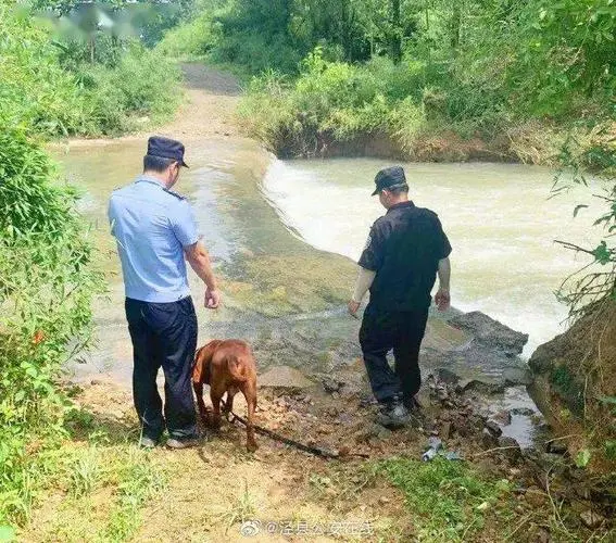 突发！贵州一嫌犯逃逸12小时自杀，究竟是什么酿成了这起悲剧？