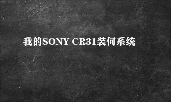 我的SONY CR31装何系统