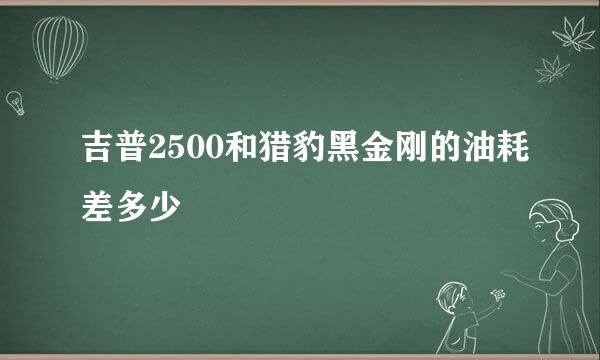 吉普2500和猎豹黑金刚的油耗差多少