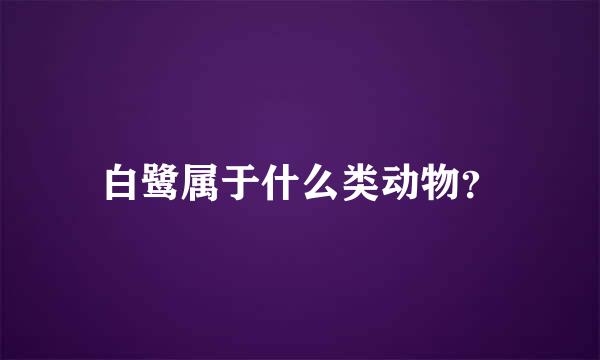 白鹭属于什么类动物？