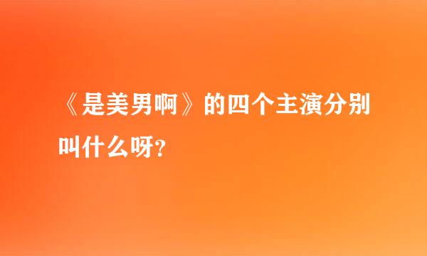 《是美男啊》的四个主演分别叫什么呀？