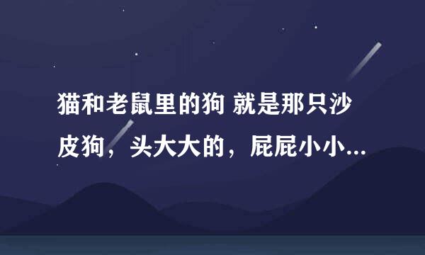 猫和老鼠里的狗 就是那只沙皮狗，头大大的，屁屁小小的那只是什么品种啊？