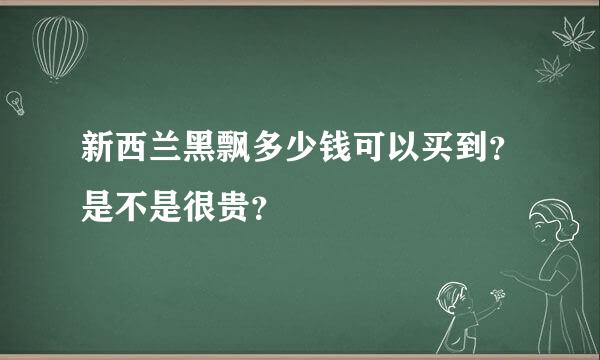 新西兰黑飘多少钱可以买到？是不是很贵？