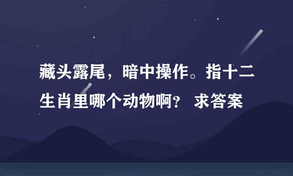 藏头露尾，暗中操作。指十二生肖里哪个动物啊？ 求答案