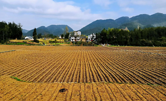 田垄的意思