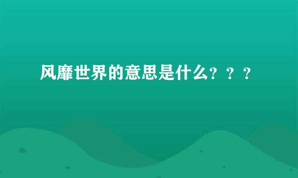 风靡世界的意思是什么？？？