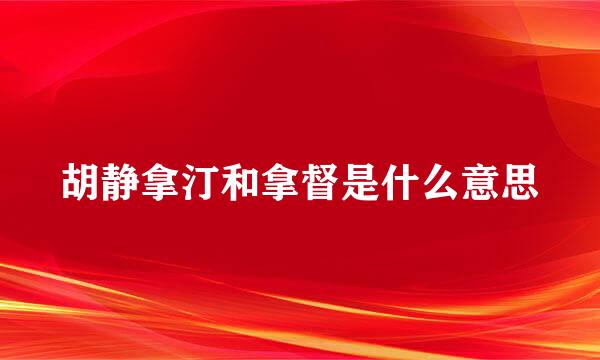 胡静拿汀和拿督是什么意思