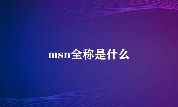 msn全称是什么