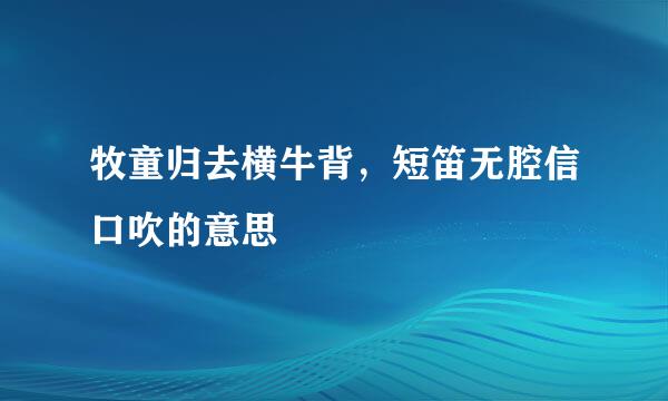 牧童归去横牛背，短笛无腔信口吹的意思