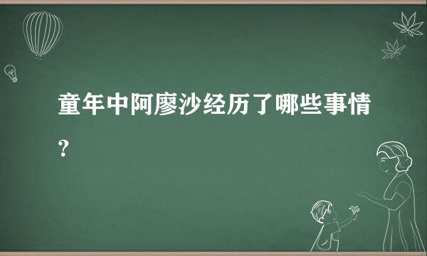 童年中阿廖沙经历了哪些事情？