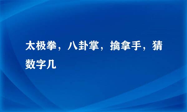 太极拳，八卦掌，擒拿手，猜数字几