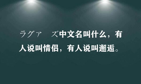 ラグァーズ中文名叫什么，有人说叫情侣，有人说叫邂逅。