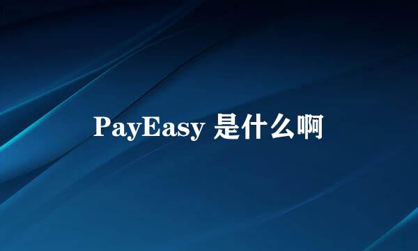 PayEasy 是什么啊