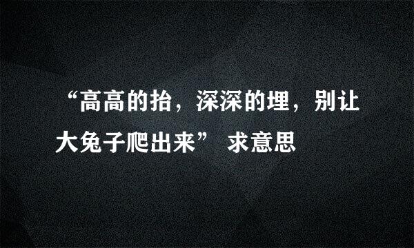 “高高的抬，深深的埋，别让大兔子爬出来” 求意思