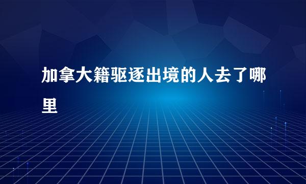 加拿大籍驱逐出境的人去了哪里