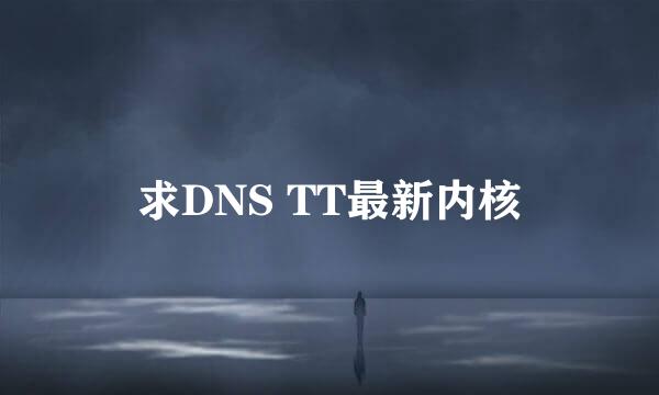 求DNS TT最新内核