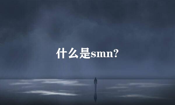 什么是smn?