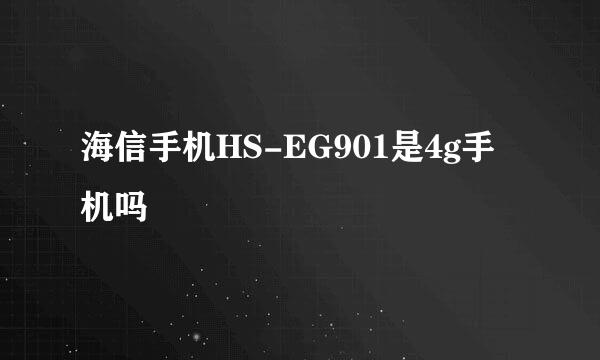 海信手机HS-EG901是4g手机吗