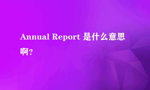 Annual Report 是什么意思啊？