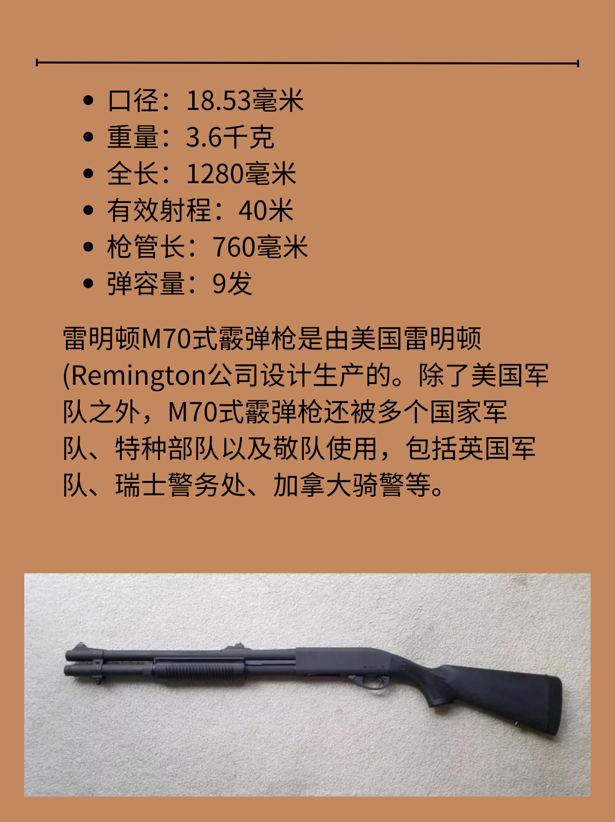 美国雷明顿M870式霰弹枪