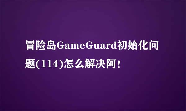 冒险岛GameGuard初始化问题(114)怎么解决阿！