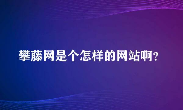 攀藤网是个怎样的网站啊？