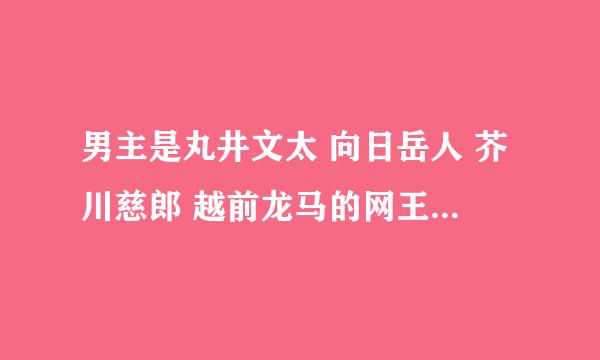 男主是丸井文太 向日岳人 芥川慈郎 越前龙马的网王同人小说