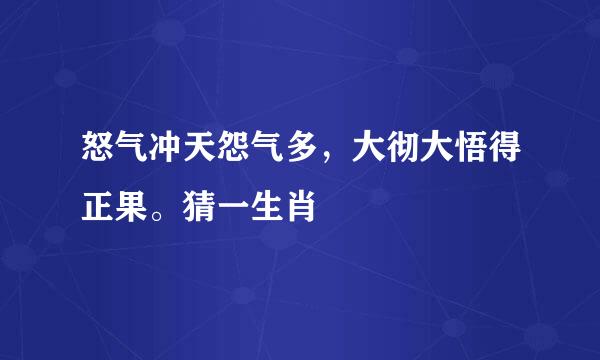 怒气冲天怨气多，大彻大悟得正果。猜一生肖