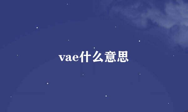 vae什么意思