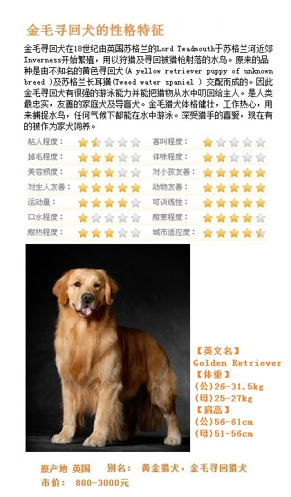 一只纯种金丹犬的价格